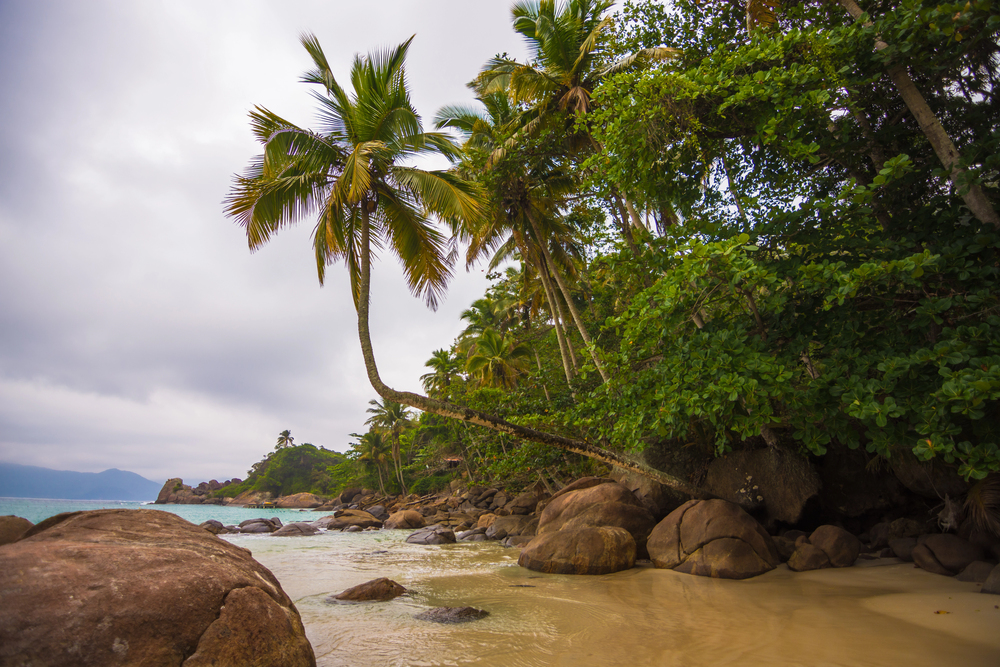 Ilha Grande'den transferler